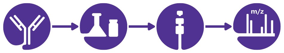 Workflow for High-Throughput Glycoprofiling of Rituximab Image of workflow for antibody aggregate and fragment analysis.