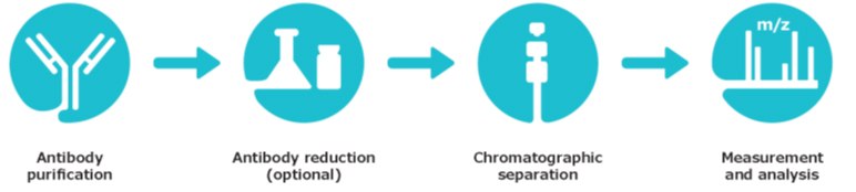 Workflow for Intact and Middle-Up Mass Analysis of Adalimumab Workflow for Intact and Middle-Up Mass Analysis of Adalimumab