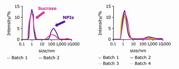 DLS results for different batches of the non-purified sucrose raw material (left), and purified Sucrose Emprove<sup>®</sup> (right). Samples were measured in triplicates and error bars represent standard deviation. Qualitative Analysis by DLS