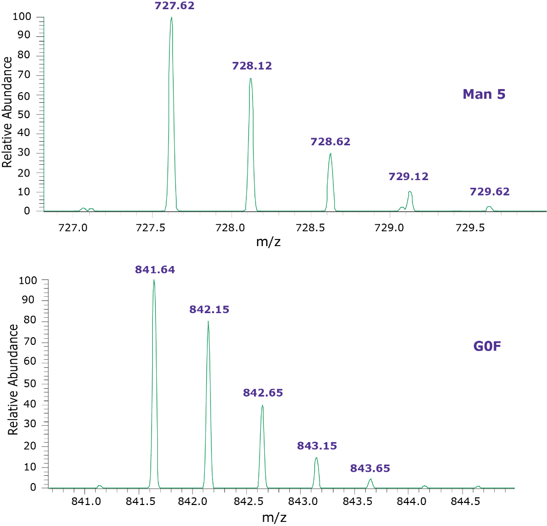 MS spectra observed for peak 4 (Man 5) and 5 (G0F), in the fluorescence chromatograms, of adalimumab samples MS spectra observed for peak 4 (Man 5) and 5 (G0F), in the fluorescence chromatograms, of adalimumab samples