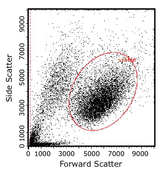 Two-Parameter Flow Cytometry Plot Flow cytometry plot showing how light-scattering characteristics of cells are used to identify cell populations of interest, here by their size and intracellular complexity.