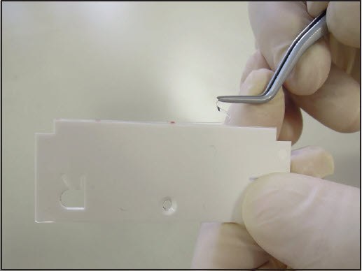 Removal of the Auto2D® IEF Chip Protective Film 2-D gel electrophoresis IEF Chip protective film removal