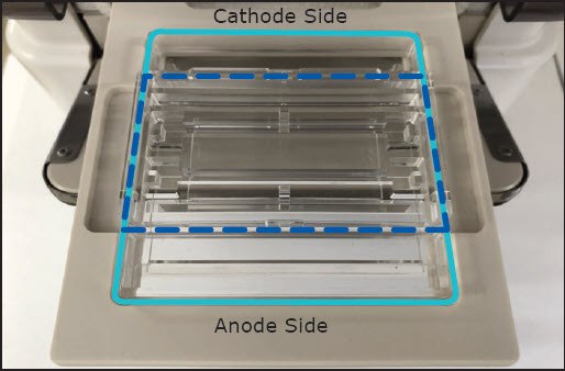 Auto2D® Chip and Tray Assembly 2-D gel electrophoresis PAGE Chip and Tray assembly