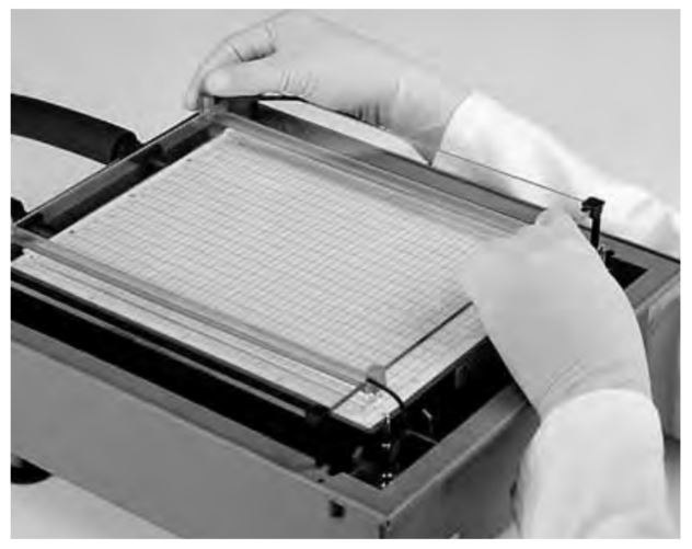 Applying Equilibrated Immobiline® DryStrip Gels Positioning electrodes.