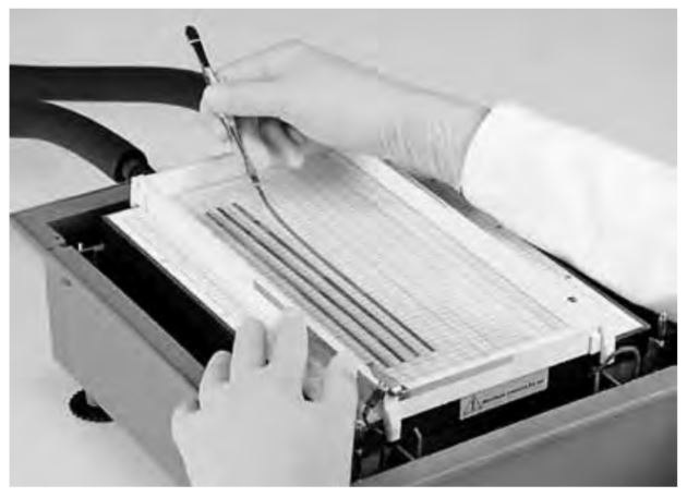 Preparing for IEF Positioning Immobiline® DryStrip gels in the Immobiline® DryStrip aligner.