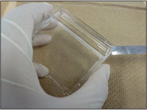 Marking of the Gel for Correct Orientation Mark the orientation of the gel with a small cut in one corner