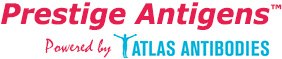 Prestige antibodies logo v_3 prestige-antibodies-logo