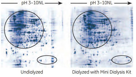 Effect of dialysis on 2-D rresolution Effect of dialysis on 2-D resolution