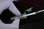 extraction extraction