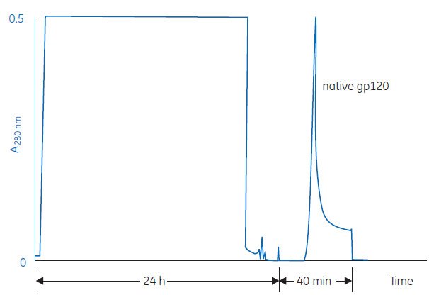 Separation of native gp120 protein on GNA coupled to CNBr-activated Sepharose 4 Fast Flow. From Gilljam, G. et al., Purification of native gp120 from HIV-1 infected T-cells; poster presented at Recovery of Biological Products VII, San Diego, CA, USA (1994). Separation of native gp120 protein