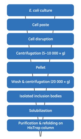 General scheme for the extraction, solubilization, and refolding of (histidine)6-tagged proteins produced as inclusion bodies in E. coli cells. General scheme for the extraction, solubilization