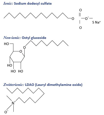 Chemical structures of selected detergents from the different classes. Chemical structures of selected detergents from the different classes