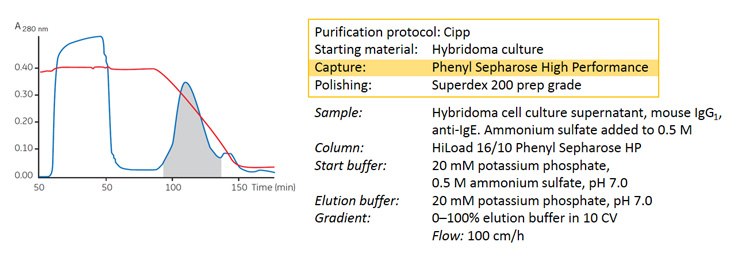 concentration-and-purification-of-monoclonal-antibodies Concentration and purification of a monoclonal antibody from hybridoma cell culture