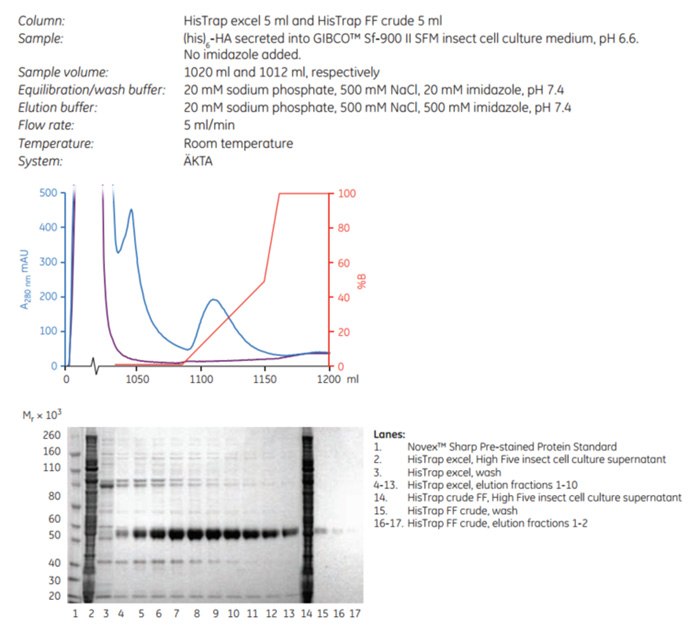 histrap-excel-5-ml-and-histrap-ff-crude-5-ml Comparative purification