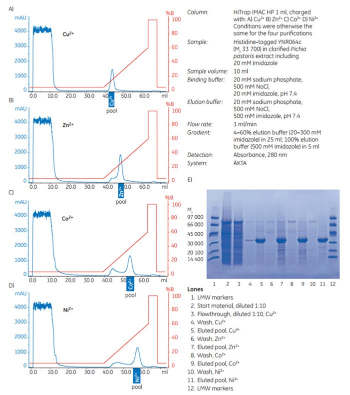 Purification of Histidine-Tagged Proteins using HiTrap IMAC HP and HiTrap IMAC FF Purification of (histidine)6-tagged YNR064c expressed in Pichia pastoris