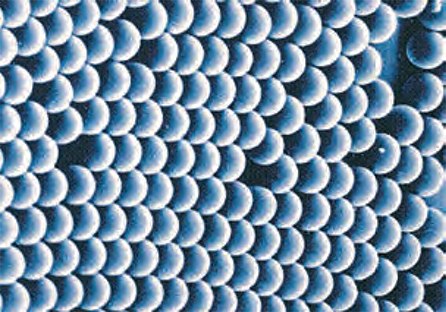 Electron micrograph of MonoBeads showing their distinct monodispersity. Electron micrograph of MonoBeads showing their distinct monodispersity