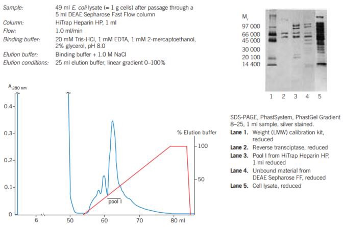 Performing a Separation of DNA binding proteins with Cytiva Products ...