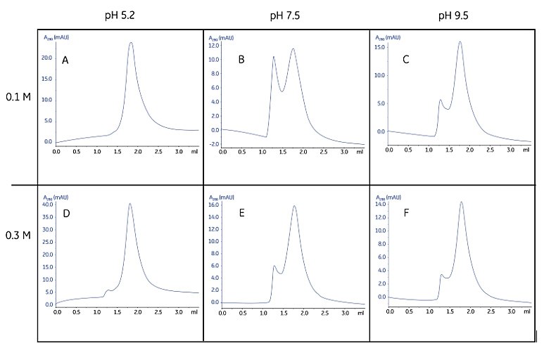 Screening of pH and ion strength conditions for optimal homogeneity and stability of a detergent-protein complex. Rapid gel filtration with Superdex 200 5/150 GL showed a symmetrical peak when the separation was performed at pH 5.2 in 0.1 M NaCl (A), indicating a homogenous protein under these conditions. At somewhat higher salt concentration (D) a small peak appeared close to the void volume, indicating that oligomerization or aggregation appeared to a limited extent. At both pH 7.5 and pH 9.5 significant peaks were obtained close to the void volume, indicating severe oligomerization or aggregation. The complete screening procedure was achieved in only a few hours, including the time for column equilibration. Sample consumption was 6 × 10 µL for the complete screen. Data kindly provided by Dr. Said Eshagi, Karolinska Institute, Stockholm, Sweden. Screening of pH and ion strength conditions for optimal homogeneity and stability of a detergent-protein complex