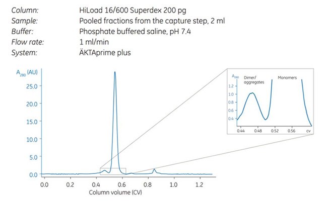 Two-step Purification of Mouse Monoclonal IgG1 Using HiTrap® Protein G ...