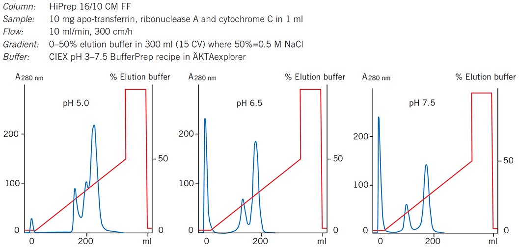 Selecting optimal pH for separation of standard proteins on HiPrep 16/10 CM FF. Selecting optimal pH for separation of standard proteins on HiPrep 16/10 CM FF