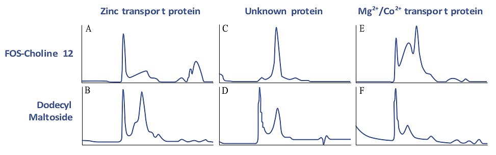 Size homogeneity characterization of membrane proteins by gel filtration. IMAC purifications of three E. coli membrane proteins were analyzed by gel filtration using Superdex 200. Each protein was purified separately by IMAC in the presence of two different detergents. Gel filtration analysis was done with the same detergent as used for purification. A symmetric peak (which is not at the void volume), as in chromatogram C, shows that the protein did not aggregate, indicating that purification was successful. Blue line = A280 trace. Used with permission. Copyright 2005 The Protein Society. Size homogeneity characterization of membrane proteins by gel filtration