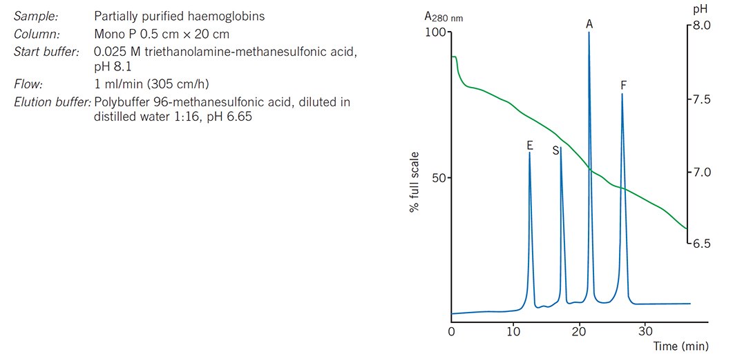 Chromatofocusing of haemoglobin variants. Chromatofocusing of haemoglobin variants