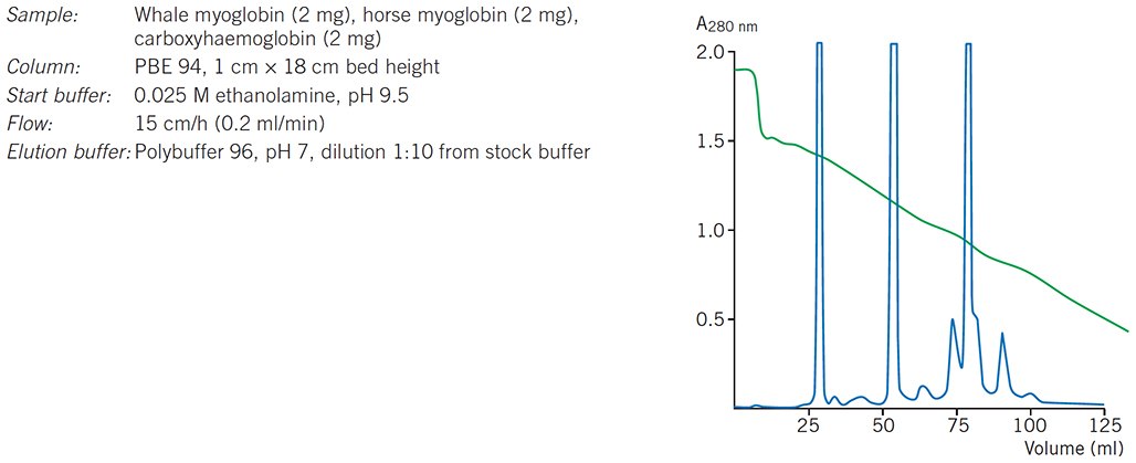 Chromatofocusing of standard protein mixture. Chromatofocusing of standard protein mixture