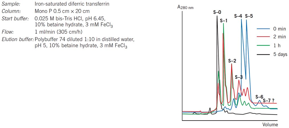 Following the desialylation of transferrin. Following the desialylation of transferrin
