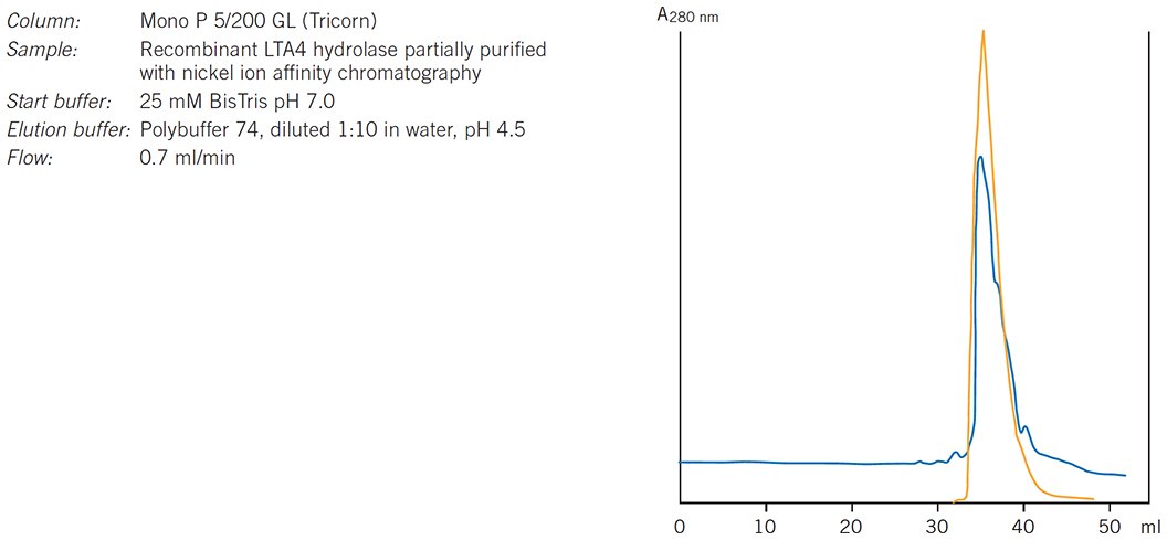 Purification of leukotriene A4 hydrolase. Results courtesy of Eva Ohlson, Karolinska Institutet, Stockholm, Sweden. Purification of leukotriene A4 hydrolase. Results courtesy of Eva Ohlson, Karolinska Institutet, Stockholm, Sweden