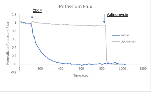 Ion Channel Flux Assays and Protocols Sample data utilizing fluorescence-based flux assays to investigate either potassium or sodium flux in artificial liposomes.