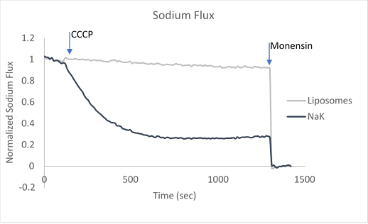 Ion Channel Flux Assays and Protocols Sample data utilizing fluorescence-based flux assays to investigate either potassium or sodium flux in artificial liposomes.