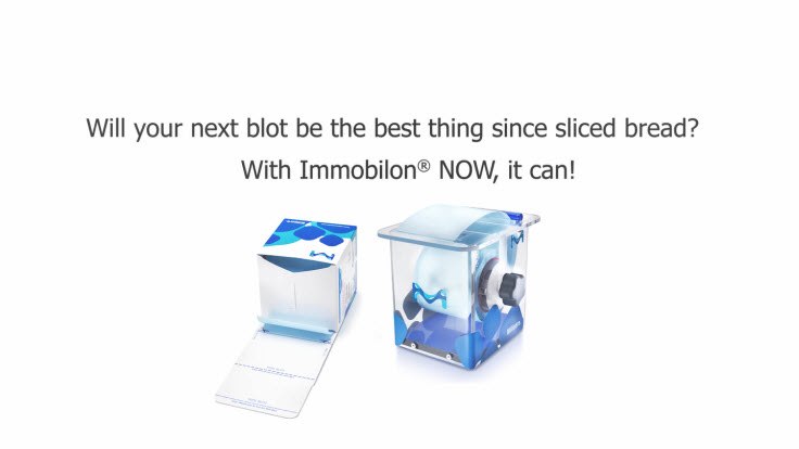Membranas para inmunoelectrotransferencia con nuestro formato Immobilon<sup>®</sup> NOW