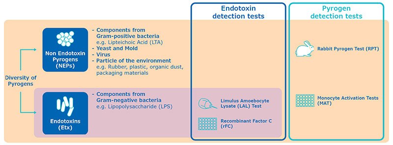 Q&A Pyrogen Testing QA Pyrogen Testing