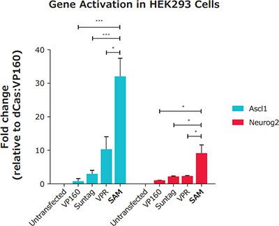 Gene Activation in HEK293 Cells