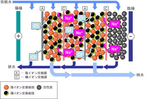 連続イオン交換　EDIの構造と働き