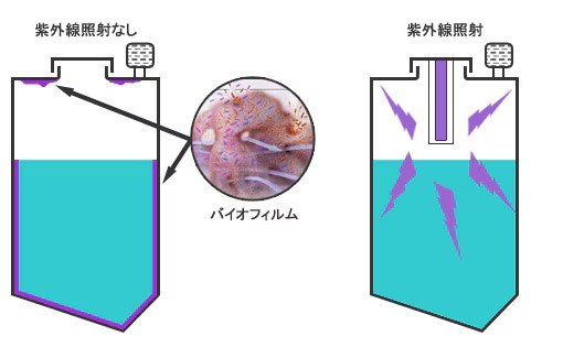 紫外線照射