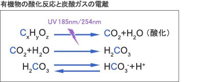 有機物の酸化反応と炭酸ガスの電離