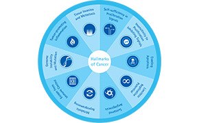 bio-learningcenter03.jpg