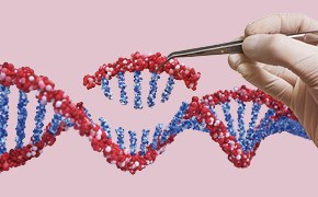 遺伝子編集ツール－機能性ゲノミクス製品の日本国内でのご注文方法