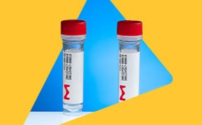 Two clear sample vials with red caps and Sigma‑Aldrich labels on a bold yellow‑and‑blue geometric background with the Sigma‑Aldrich wordmark.