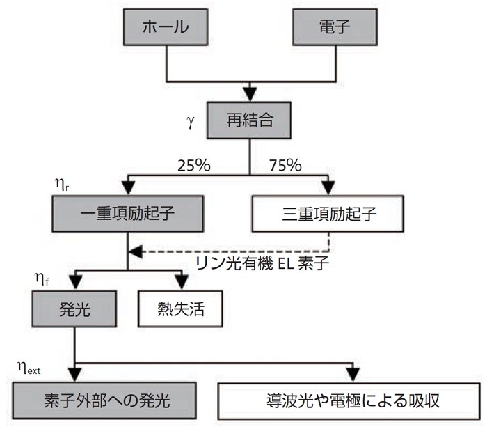 有機ELの素過程