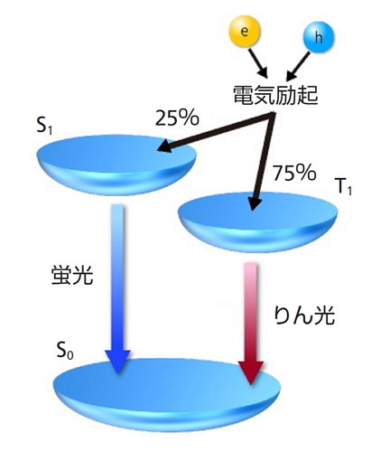 一重項励起子と三重項励起子