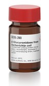 β-Glucuronidase from Escherichia coli ≥10,000,000 units/g protein (30 min assay), recombinant, expressed in E. coli overproducing strain, lyophilized powder