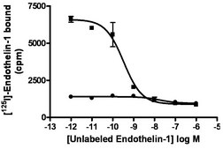 ChemiSCREEN Membrane Preparation Recombinant Human ETB Endothelin Receptor Human ETB GPCR membrane preparation for Radioligand binding Assays &amp; GTPγS binding.