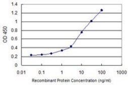 Monoclonal Anti-C9ORF96, (N-terminal) antibody produced in mouse clone 3G3, purified immunoglobulin, buffered aqueous solution