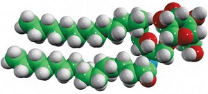 C16 Galactosyl(α) Ceramide (d18:1/16:0) D-galactosyl-α-1,1′ N-palmitoyl- D-erythro-sphingosine, powder