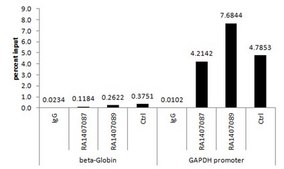 Anti-acetyl-Histone H3 (Lys9) Antibody Upstate®, from rabbit