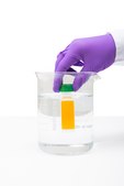 Cult Dip Combi™ For detection of total bacterial count and yeasts &amp; fungi in liquid samples