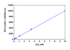 Fluorimetric Hydrogen Peroxide Assay Kit sufficient for 500 fluorometric&nbsp;tests (red fluorescence)