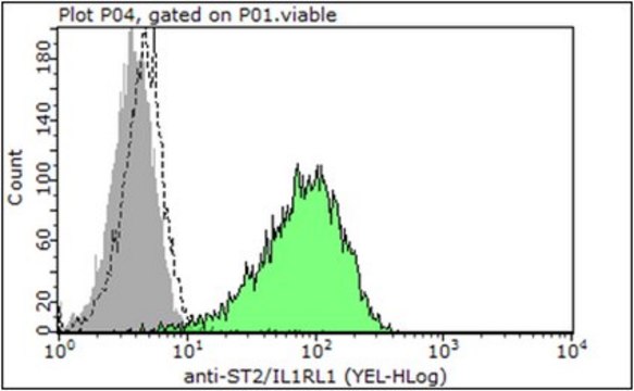 Anti-IL1RL1, clone RMST2-2, Azide Free Antibody clone RMST2-2, from rat